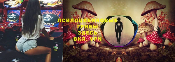 эйфоретик Балахна